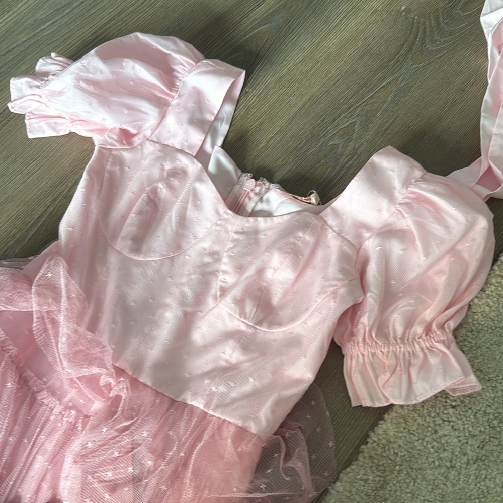 NWT IVY CITY CO WALTZ OF THE FLOWER DRESS - Picture 9 of 13